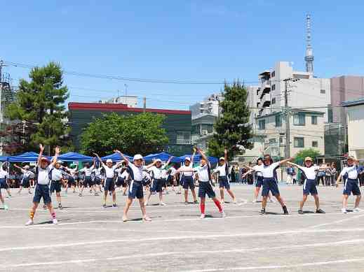 ３年生「キラキラ かがやけ！ サンフラワー」
