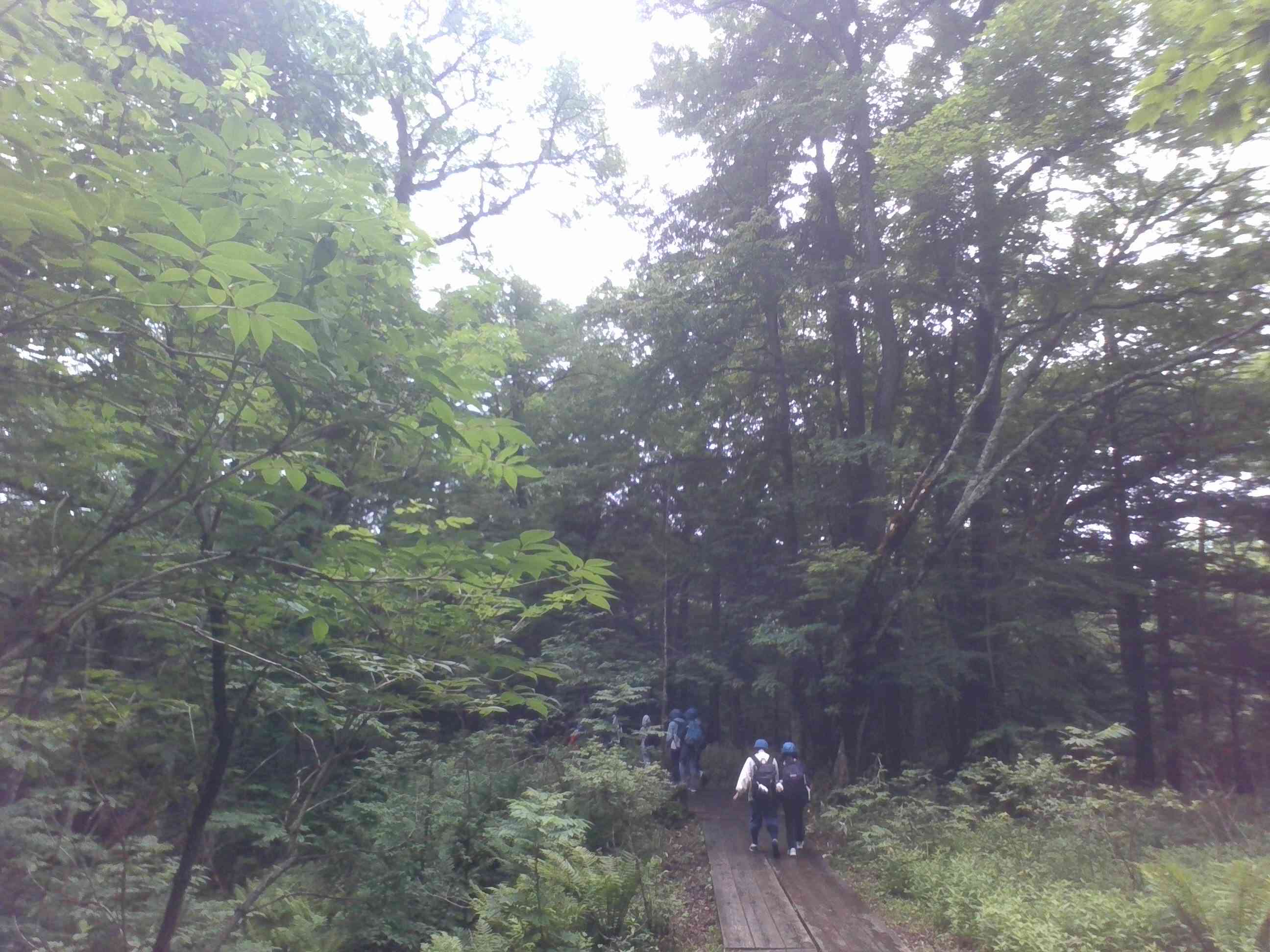 戦場ヶ原１