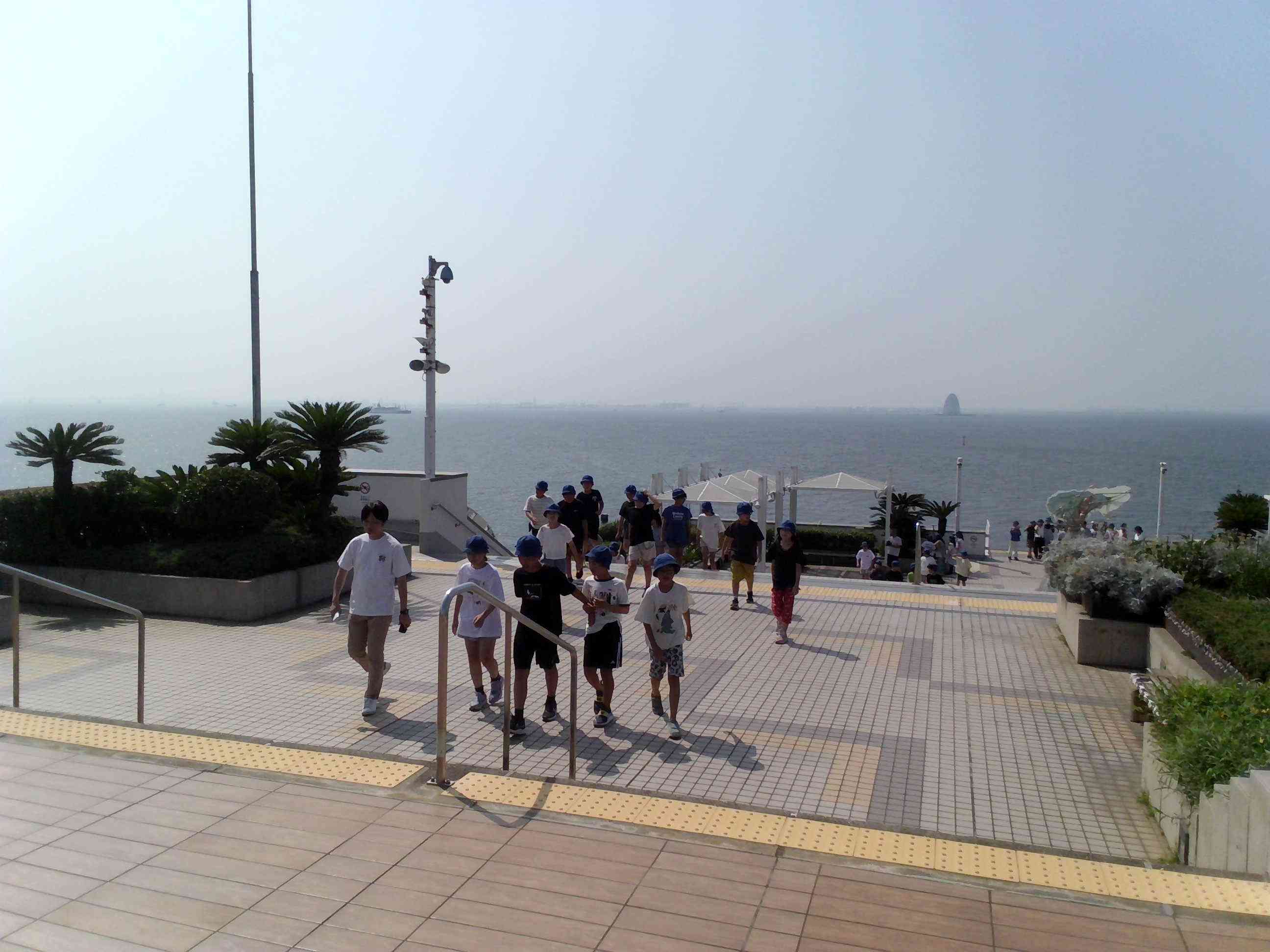 IMG_20260723_142029